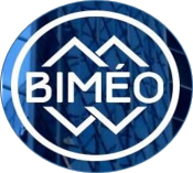 BIMEO fait un carton  BIMWORD