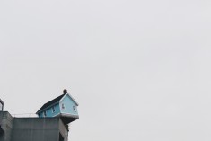 Prvenir les risques sur votre terrain : un droit ou un devoir ? 