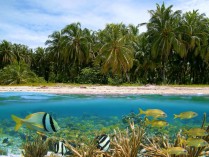 LA POSTE IMMO fait appel  l'OFIB pour sa formation Rnovation nergtique en milieu tropicale