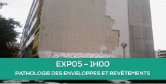 Nouveaut : Les pathologies des enveloppes et revtements