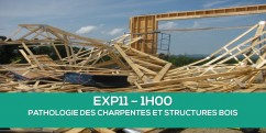 Formation  distance : les pathologies des charpentes et structures en bois