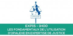 Nouvelle formation : Les fondamentaux de l'utilisation d'OPALEXE en expertise de justice