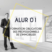 ALUR 01: Formation Obligatoire des Professionnels de lImmobilier - exigences et conformits loi ALUR