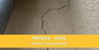 E-learning ALUR: IMMO14 Pathologies du bti