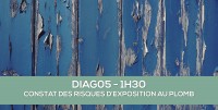 E-Learning : DIAG05 Les essentiels du Constat des Risques d'Exposition au Plomb (CREP)