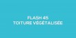 Flash-learning 45 - La toiture végétalisée