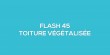 Flash-learning 45 - La toiture vgtalise