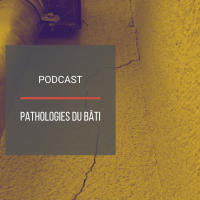 PODCAST IMMO14 : Pathologies du bti