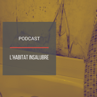 PODCAST IMMO27 : L'habitat insalubre