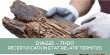 DIAG21 - ETAT RELATIF TERMITES : formation continue obligatoire des oprateurs (E-learning 7H)