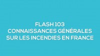 Flash-learning 103 - Connaissances gnrales sur les incendies en France