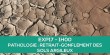 E-learning EXP17 : Pathologies - retrait-gonflement des sols argileux
