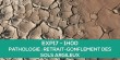 E-learning EXP17 : Pathologies - retrait-gonflement des sols argileux (RGA sécheresse)